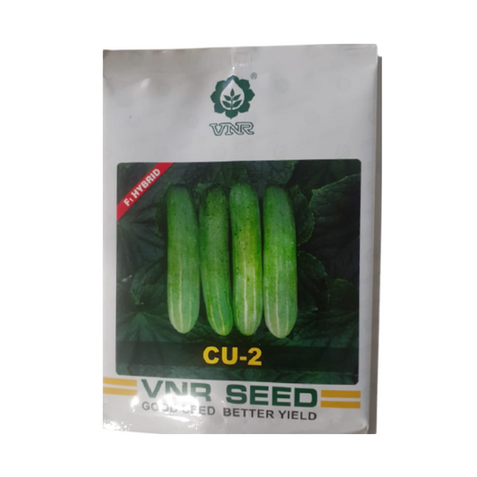 CU-2 Cucumber Seeds - VNR | F1 Hybrid | Buy Online at Best Price