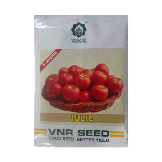 Julie Tomato Seeds - VNR | F1 Hybrid | Buy Online at Best Price