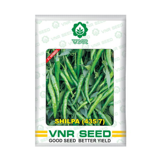 Shilpa (435/7) Chilli seeds - VNR | F1 Hybrid | Buy Online at Best Price