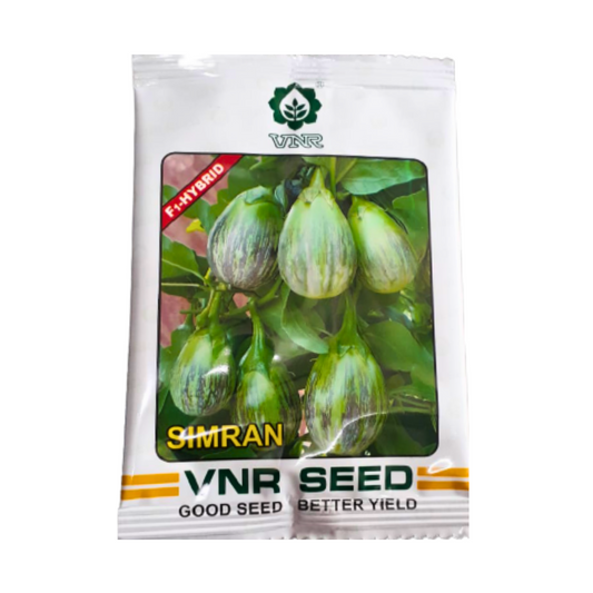 Simran Brinjal Seeds - VNR | F1 Hybrid | Buy Online at Best Price