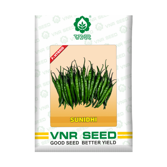 Sunidhi Chilli Seeds - VNR | F1 Hybrid | Buy Online at Best Price