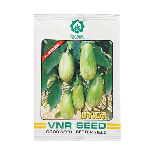 Utkal Brinjal Seeds - VNR | F1 Hybrid | Buy Online at Best Price