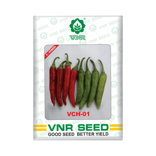 VCH-01 Chilli Seeds - VNR | F1 Hybrid | Buy Online at Best Price