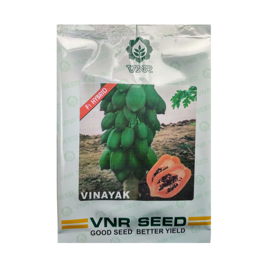 Vinayak Papaya Seeds - VNR | F1 Hybrid | Buy Online at Best Price