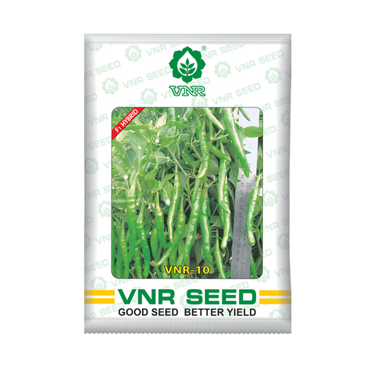 VNR-10 Chilli Seeds | F1 Hybrid | Buy Online at Best Price