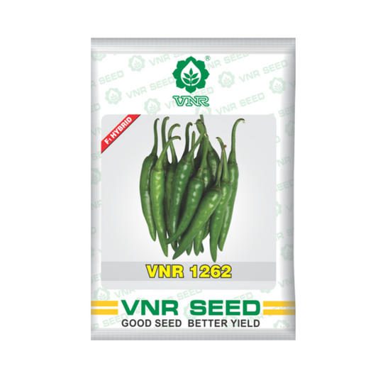 VNR 1262 Chilli Seeds | F1 Hybrid | Buy Online at Best Price