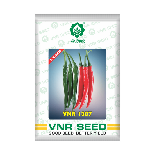 VNR 1307 Chilli Seeds | F1 Hybrid | Buy Online at Best Price