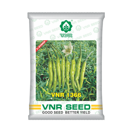 VNR 1366 Chilli Seeds | F1 Hybrid | Buy Online at Best Price
