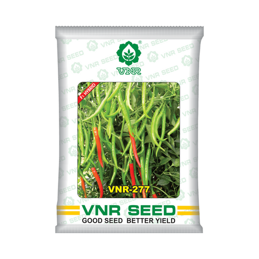 VNR-277 Chilli Seeds | F1 Hybrid | Buy Online at Best Price