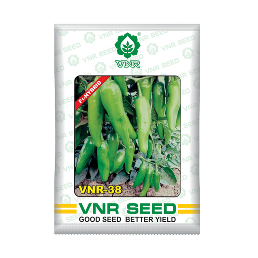 VNR-38 Chilli Seeds | F1 Hybrid | Buy Online at Best Price