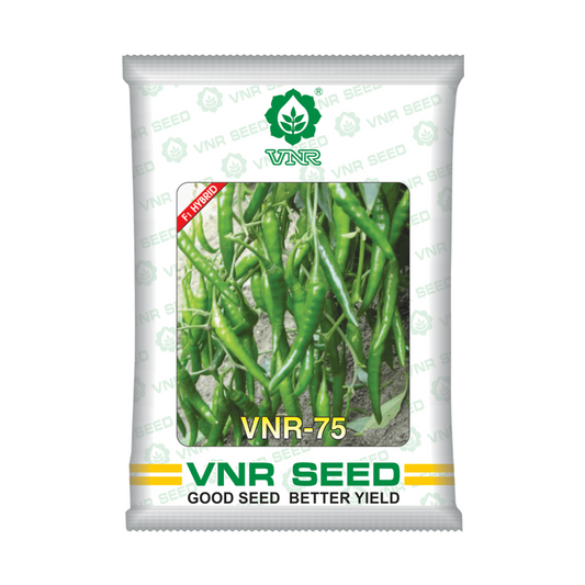 VNR 75 Chilli Seeds | F1 Hybrid | Buy Online at Best Price