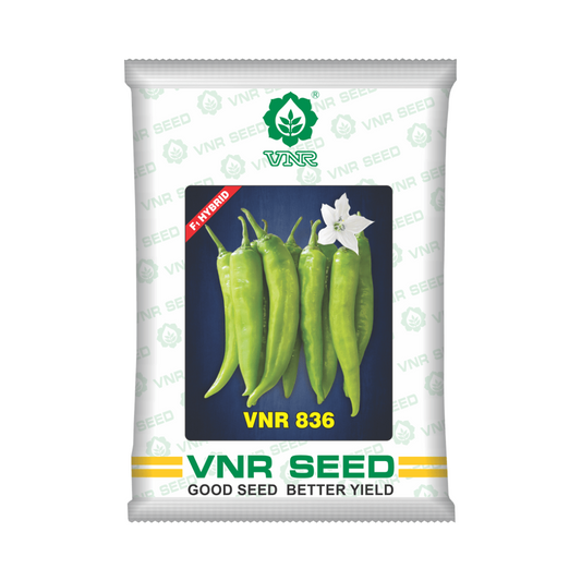 VNR 836 Chilli Seeds | F1 Hybrid | Buy Online at Best Price