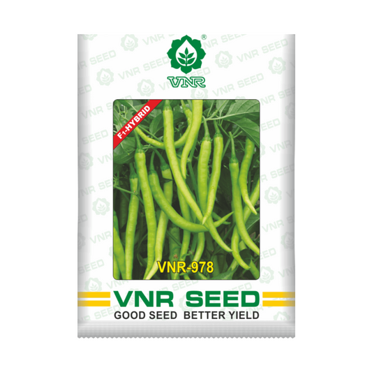 VNR 978 Chilli Seeds | F1 Hybrid | Buy Online at Best Price