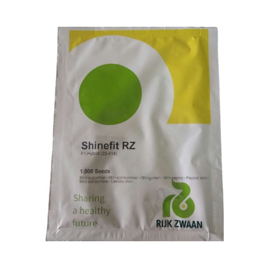 Shinefit RZ Cucumber Seeds - Rijk Zwaan | F1 Hybrid | Buy Online at Best Price