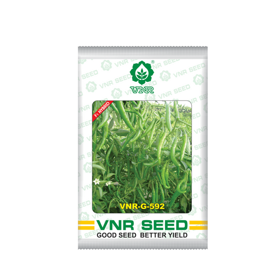 VNR G-592 Chilli Seeds | F1 Hybrid | Buy Online at Best Price