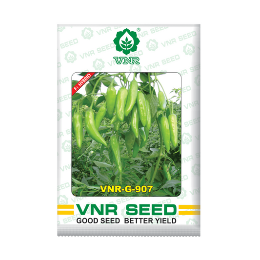 VNR G-907 Chilli Seeds | F1 Hybrid | Buy Online at Best Price