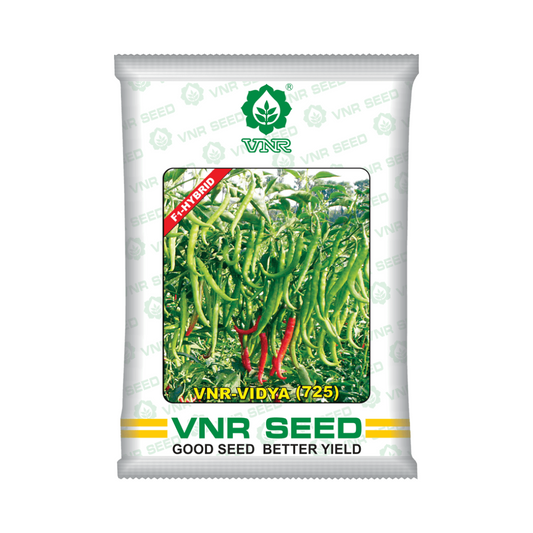  VNR Vidya (725) Chilli Seeds | F1 Hybrid | Buy Online at Best Price