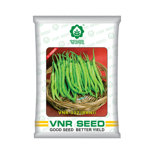 VNR-332 (Rani) Chilli Seeds | F1 Hybrid | Buy Online at Best Price