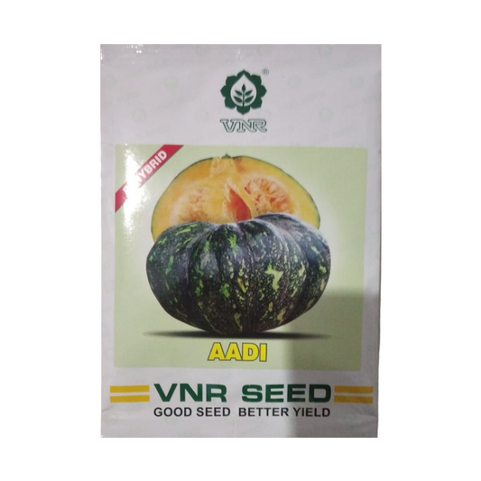 Aadi Pumpkin Seeds - VNR | F1 Hybrid | Buy Online at Best Price