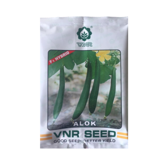 Alok Sponge Gourd Seeds - VNR | F1 Hybrid | Buy Online at Best Price