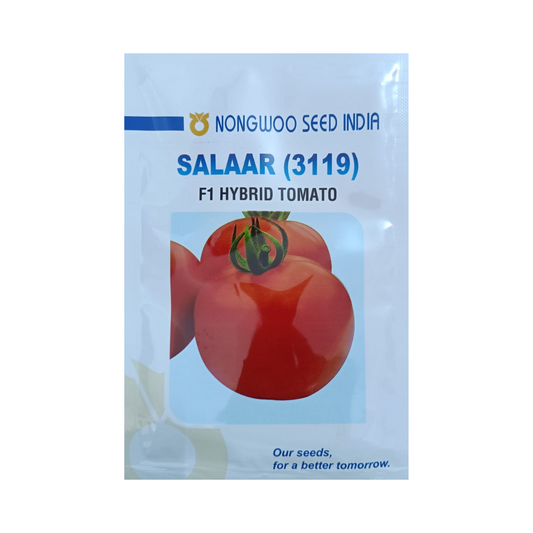 Salaar (3119) Tomato Seeds - Nongwoo | F1 Hybrid | Buy Now - DesiKheti