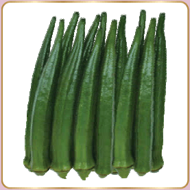 Rohini Okra (Bhindi) Seeds