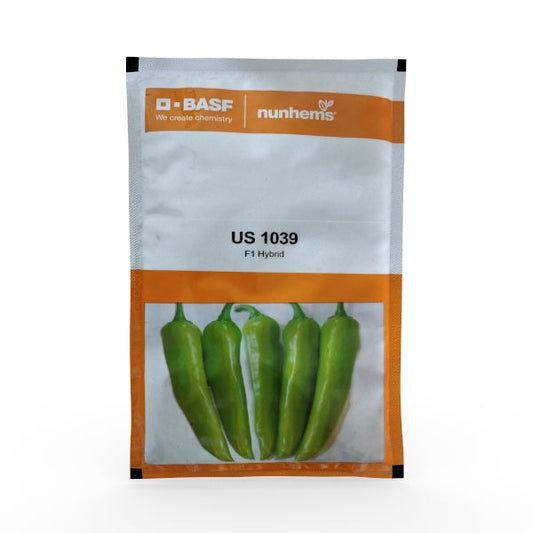 US 1039 Chilli Seeds - Nunhems | F1 Hybrid | Buy Online at Best Price