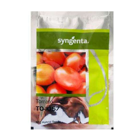 TO-1057 Tomato Seeds - Syngenta | F1 Hybrid | Buy Online at Best Price