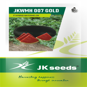 JKMWH 007 Gold Watermelon Seeds | F1 Hybrid | Buy Online at Best Price