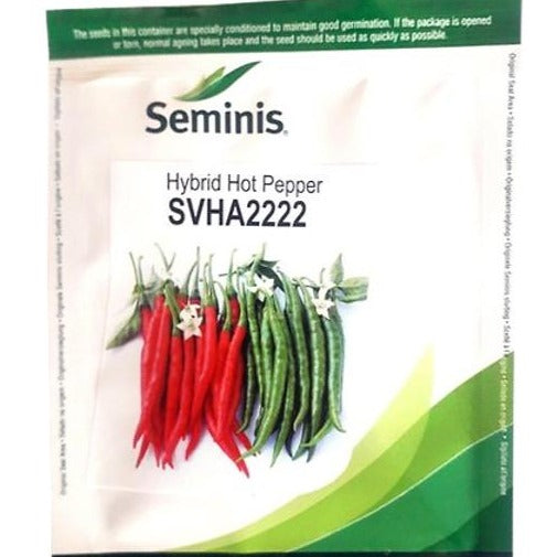 SVHA 2222 Chilli Seeds | Buy Online At Best Price