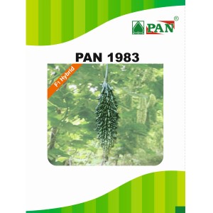 Pan 1983 Bitter Gourd Seeds | F1 Hybrid | Buy Online at Best Price