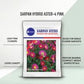 Sarpan Ast-4 Aster Seeds | F1 Hybrid | Buy Online at Best Price