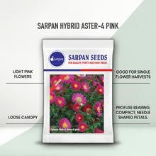 Sarpan Ast-4 Aster Seeds | F1 Hybrid | Buy Online at Best Price