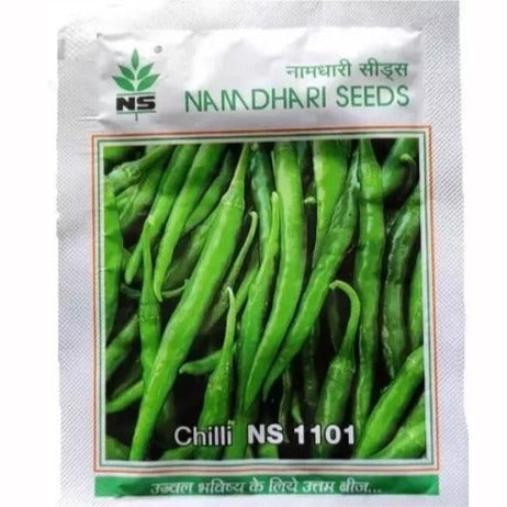 NS 1101 Chilli Seeds - Namdhari | F1 Hybrid | Buy Online at Best Price