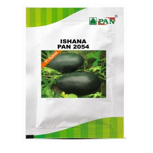 Pan 2054 Ishana Watermelon Seeds | F1 Hybrid | Buy Online at Best Price