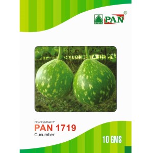 Pan 1719 Bottle Gourd Seeds | F1 Hybrid | Buy Online at Best Price
