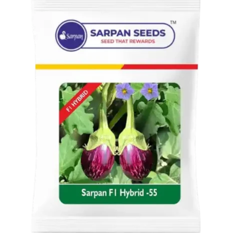 Sarpan - 55 Brinjal Seeds | F1 Hybrid | Buy Online at Best Price