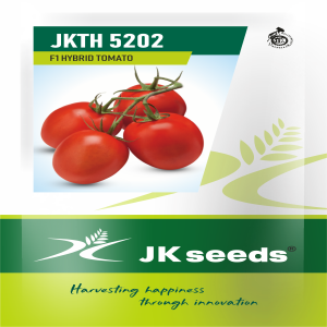 JKTH 5202 Tomato Seeds | F1 Hybrid | Buy Online at Best Price