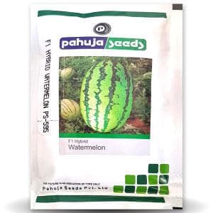 PS-595 Watermelon Seeds - Pahuja | F1 Hybrid | Buy Online at Best Price