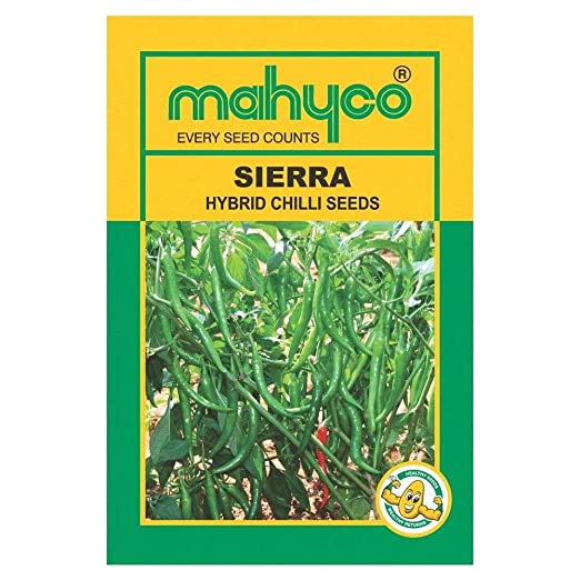 Sierra Chilli Seeds - Mahyco | F1 Hybrid | Buy Online at Best Price