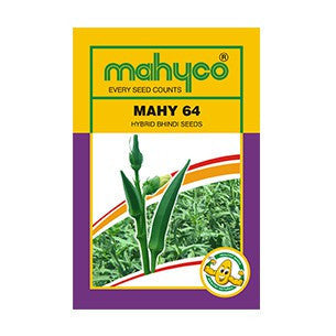 MAHY 64 Bhindi Seeds - Mahyco | F1 Hybrid | Buy Online at Best Price