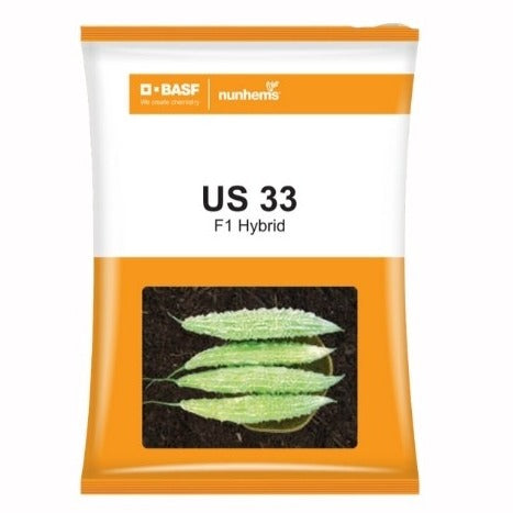US 33 Bitter Gourd Seeds - Nunhems | F1 Hybrid | Buy Online at Best Price