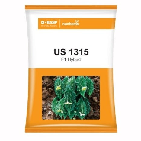 US 1315 Bitter Gourd Seeds - Nunhems | F1 Hybrid | Buy Online at Best Price