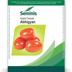 Abhigyan Tomato Seeds | Buy Online At Best Price