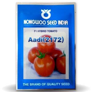 Adi Tomato Seeds - Nongwoo | F1 Hybrid | Buy Online at Best Price