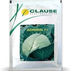 Admiral Cabbage Seeds | Buy Online At Best Price