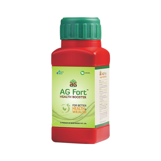 AG Fort | Buy Online At Best Price