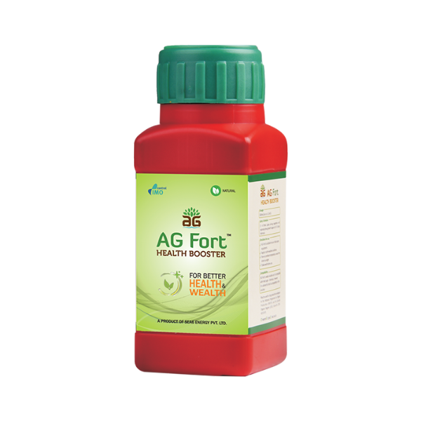 AG Fort | Buy Online At Best Price