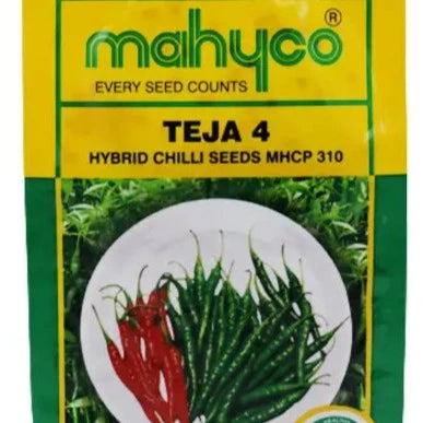 Teja 4 Chilli Seeds - Mahyco | F1 Hybrid | Buy Online at Best Price