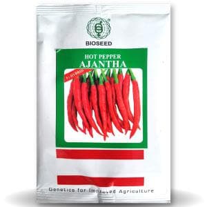 Ajantha Chilli Seeds - Bioseed | F1 Hybrid | Buy Online at Best Price